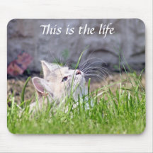 This is the life  mousepad