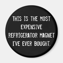This is the most expensive refrigerator magnet ...