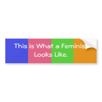 This is What a Feminist Looks like.