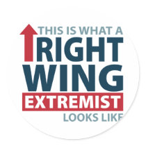 This is what a Right Wing Extremist Looks Like Stickers