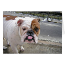 THIS IS WHAT I THINK OF YOU!! GREETING CARD