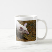 This Little Piggy - Baby Piglet Photo Coffee Mug