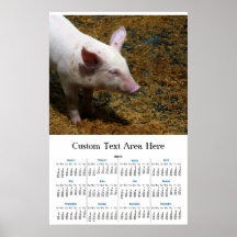 This Little Piggy - Baby Piglet Photo Print