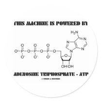 This Machine Is Powered By Adenosine Triphosphate