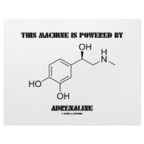 This Machine Is Powered By Adrenaline (Chemistry)