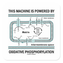 This Machine Is Powered Oxidative Phosphorylation Square Sticker