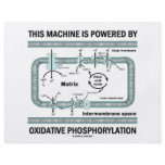 This Machine Powered By Oxidative Phosphorylation flyers