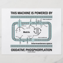 This Machine Powered By Oxidative Phosphorylation Full Color Flyer