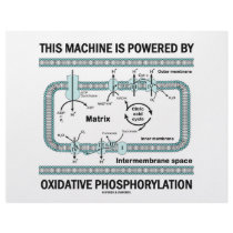 This Machine Powered By Oxidative Phosphorylation