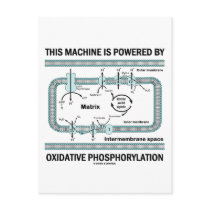 This Machine Powered By Oxidative Phosphorylation