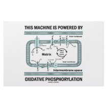This Machine Powered By Oxidative Phosphorylation