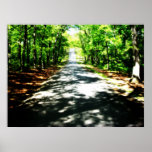 This Road Leads to Despair Poster