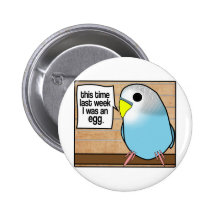 This Time Last Week I Was An Egg Pinback Buttons