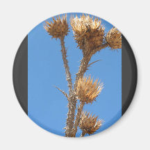 Thistle Against Blue Sky Refrigerator Magnet