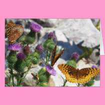 Thistle Blossoms & Fritillaries:Hawthorne cards