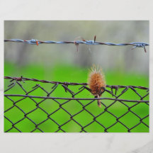 Thistle Custom Flyer
