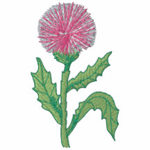 Thistle