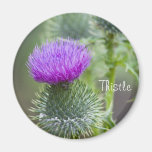 Thistle Fridge Magnets