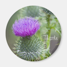 Thistle Fridge Magnets
