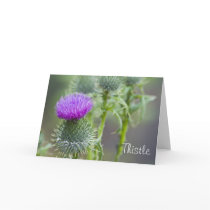 Thistle Greeting Card
