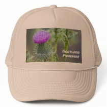 Thistle