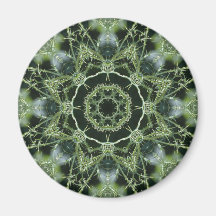 Thistle Photo Mandala Magnet
