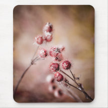 Thistles Mousepads