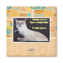 Thongs should have a weight limit. fridge magnet