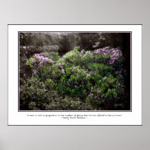 Thoreau Quote Poster - Sheep Laurel