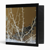 Thorns  Binder