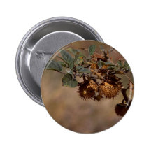 Thorny Seed Pod Buttons