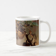 Thorny Seed Pod Coffee Mugs