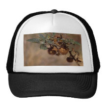 Thorny Seed Pod Mesh Hats
