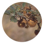 Thorny Seed Pod Round Sticker