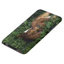 Thoroughbred Foal Lying Down iPod Case-Mate Case
