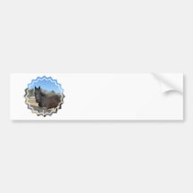 Thoroughbred Horse Bumper Stickers