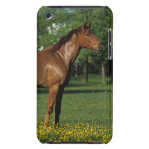 Thoroughbred Horse in Flowers Case-Mate iPod Touch Case