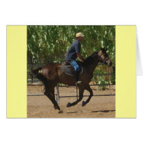 Thoroughbred Horse Rehabilitation - Equine Blank