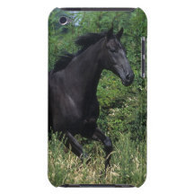 Thoroughbred Horse Running in Grass Case-Mate iPod Touch Case