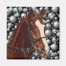 Thoroughbred Horse w/ Bubbles Art Magnets