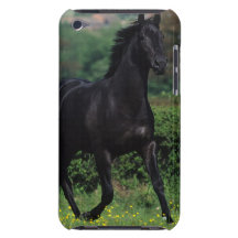 Thoroughbred Horses in Flower Field iPod Case-Mate Case