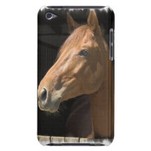Thoroughbred  iTouch Case Barely There iPod Case