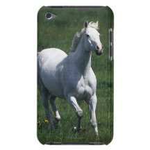 Thoroughbred Mare Barely There iPod Case