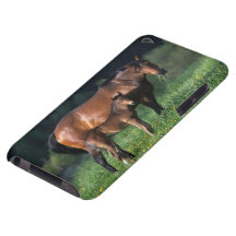 Thoroughbred Mare & Foal 1 iPod Case-Mate Case
