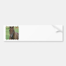 Thoroughbred Race Horse Bumper Sticker