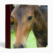 Thoroughbred Selections Binder