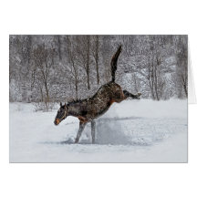 Thoroughbred Snow Joy Cards