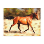 Thoroughbred Spirit Horse Art Postcard