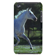 Thoroughbred Stallion Running iPod Touch Case