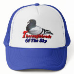 Thoroughbreds of the Sky Hats
